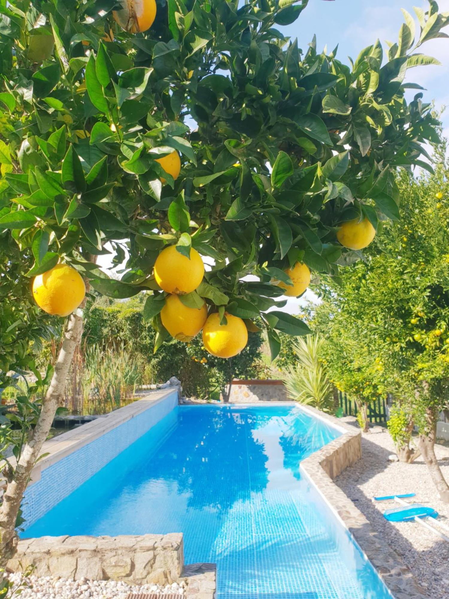 The Far End Surf House - Surf & Yoga Holidays Lourinhã Esterno foto